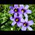 Donna Jean's profile image