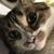 Leora Bennett's profile image