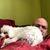 Anthony A. Francis's profile image