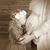 Amanda Korbel's profile image