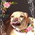 Stephanie S Ormston's profile image