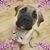 Kimberly Fisher's profile image
