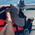 Julie Ramos Pimentel-Roshe's profile image