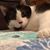 Cathi Aiello's profile image