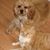 Michele Anderson's profile image