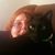 Debb Cammarata's profile image