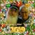 Vicki Van Sickle Damjanovich's profile image