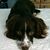 Sandi Scott Allen's profile image