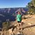 Lori Harlow's profile image