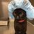 Carla Franklin's profile image