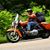 Ron Trudel's profile image