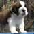 Celia Ann Prentice-Anderson Transou's profile image