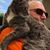 Tony Drady's profile image