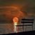 Carolyn Jones's profile image