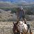 Maria Wachter's profile image
