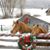 Wanda Kapphan's profile image