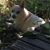 Susan Stewart's profile image