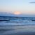 Pam Coleman Weaver's profile image