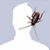Soroush Maghsoudi's profile image