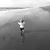 Brandon Schepke's profile image