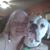 Wendy Scott Fowler's profile image