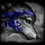 Nicole Schlipp's profile image