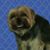 Bleach McAnon's profile image