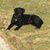 Peppy Crosby's profile image