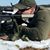 Thomas Hammill's profile image