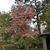 Kelli Shaffer Page's profile image