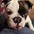 Edward Martinez's profile image