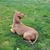 Susan Janet Lorraine Bown's profile image