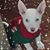 Rachel Talmadge's profile image