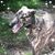 Dawn Comparetta's profile image