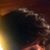 Tine Brown's profile image