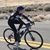 Cheri Owen's profile image