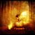 Feri Kields's profile image