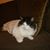 Maggie Joseph's profile image