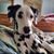 John Walsh's profile image