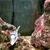 Ann Rathfon's profile image