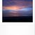 Linn Rocchio's profile image