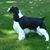 Susan Still's profile image