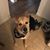 Sandra Crump Barnhill's profile image