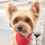 Carolyn Winne's profile image