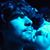 Tommaso Fibo Bonacini's profile image