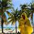 Alam Diab's profile image