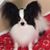 Joi L. Stevens's profile image