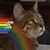 Polly Mather's profile image