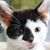 Bobet's Cooler's profile image