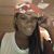 Melissa Mocha Shic Zeigler's profile image